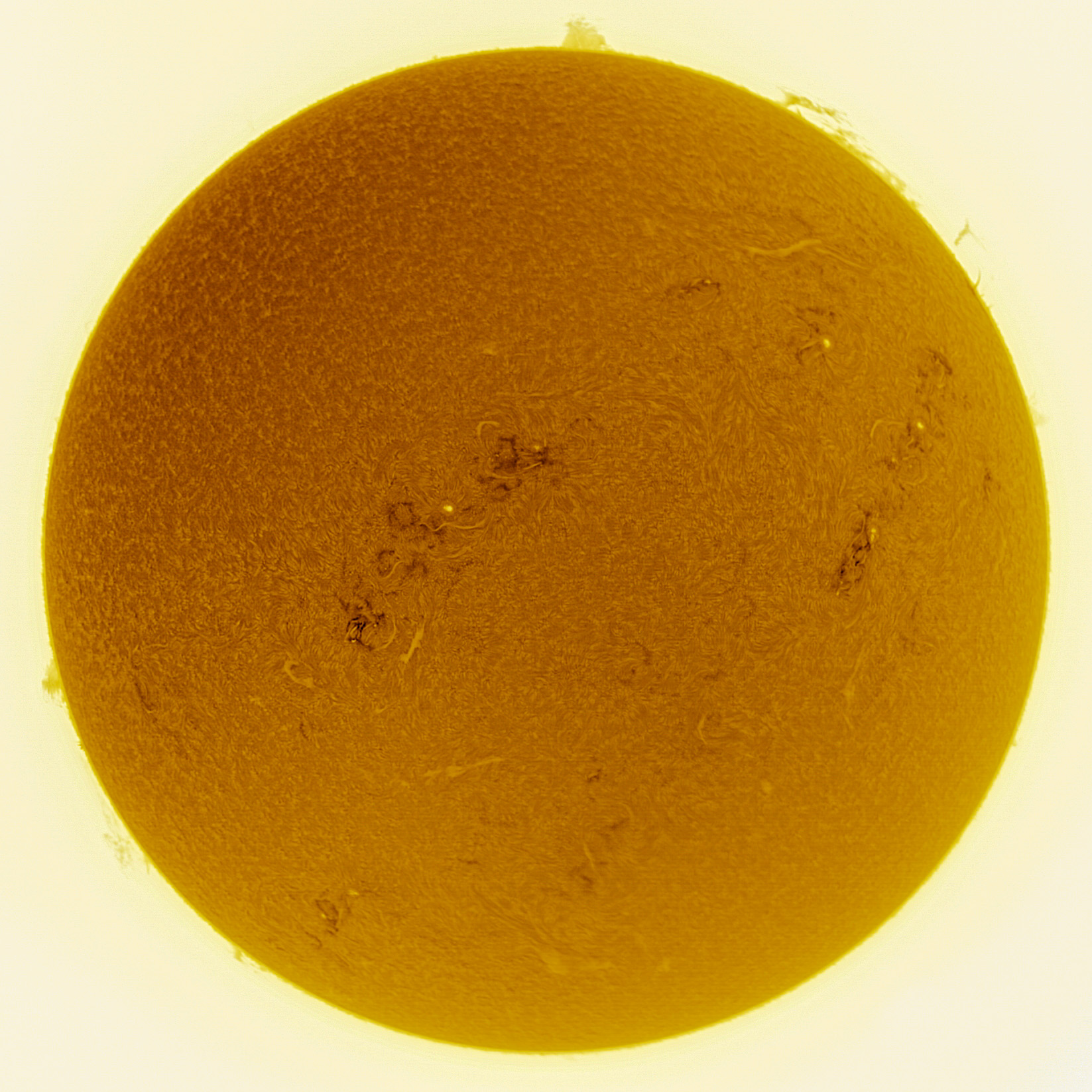 The image shows an inverted-color view of the Sun, likely taken using an H-alpha filter. This processing technique enhances solar features such as sunspots, filaments, and prominences by reversing the intensity of light, making surface details and active regions more pronounced.