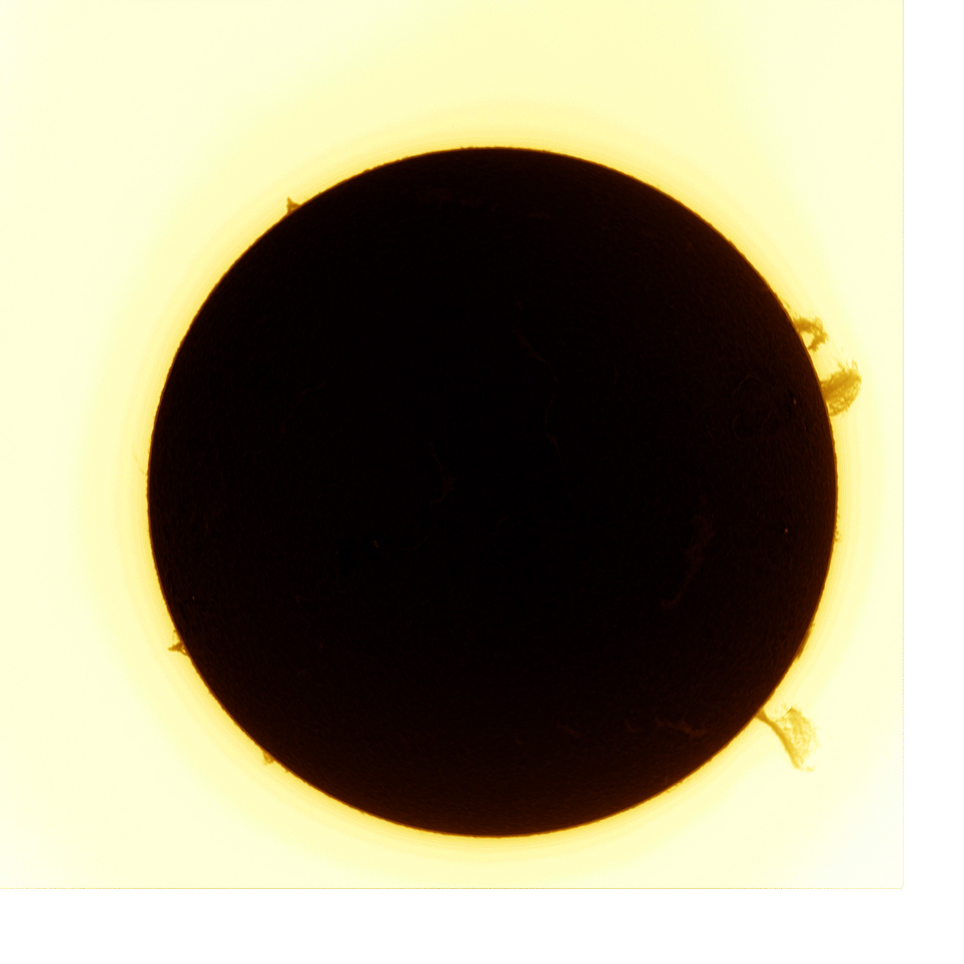 Aufnahme der Sonne mit einem h-Alpha Teleskop. An den Rändern sind helle, flammenartige Sonnenprotuberanzen erkennbar, die dramatisch gegen den dunklen Hintergrund hervortreten.