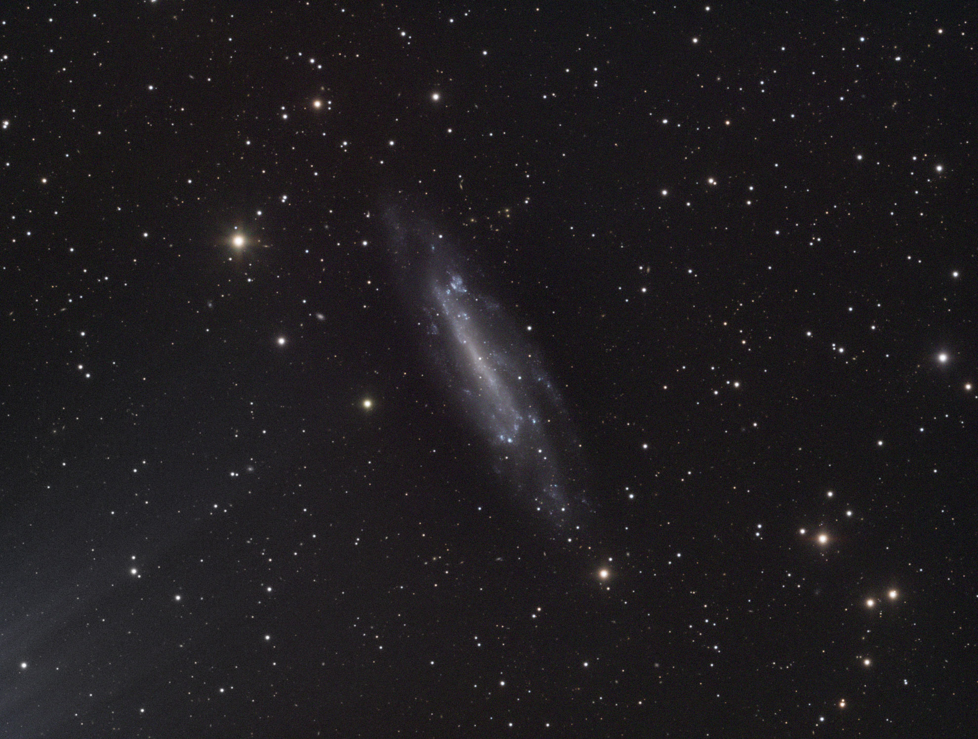 Eine Astrofotografie der Galaxie NGC 4236. Die Galaxie erscheint als große, längliche und leicht geneigte Balkenspirale mit einem weichen, leuchtenden weißen Kern und gefleckten blau-grauen Spiralarmen. In den Armen verteilt sind helle, winzige blaue Knoten zu sehen, die auf aktive Sternentstehungsgebiete hindeuten. Die Galaxie befindet sich vor einem tiefschwarzen Hintergrund, der von zahlreichen scharfen, punktförmigen Sternen unterschiedlicher Helligkeit und Farbe (von kühlem Weiß bis zu warmem Orange) übersät ist. In der unteren linken Ecke zeigt sich ein schwacher, nebliger Schimmer, der vermutlich von einem hellen Stern knapp außerhalb des Bildausschnitts stammt.