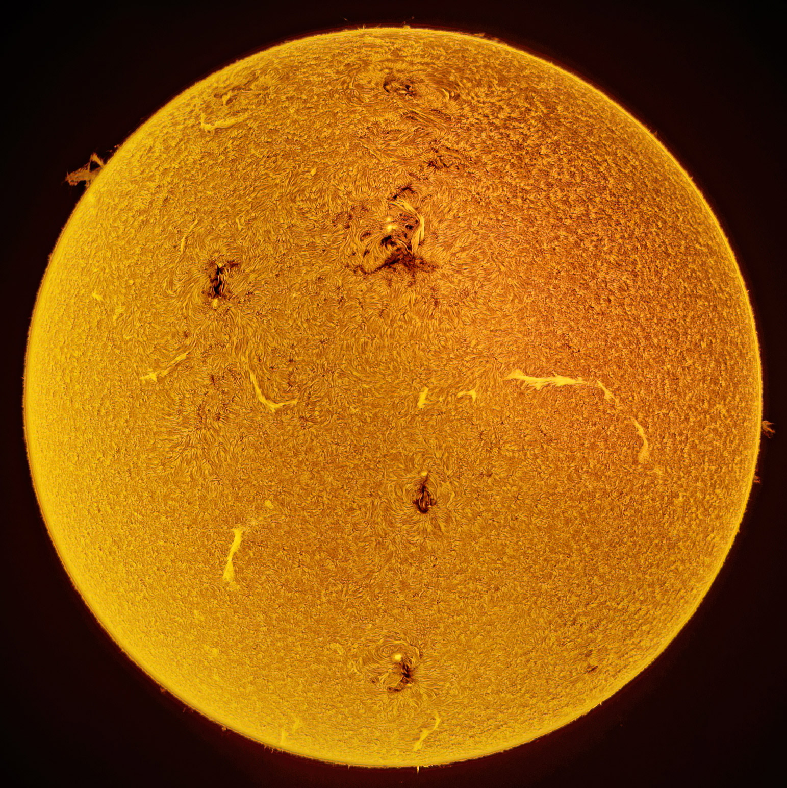 Eine hochauflösende invertierte Teleskopaufnahme der gesamten Sonnenscheibe in einem kräftigen Orange-Gold vor schwarzen Hintergrund. Die Oberfläche ist detailreich dargestellt und zeigt eine körnige Struktur mit mehreren dunklen Sonnenflecken, wirbelnden magnetischen Filamenten und hellen Sonneneruptionen. An den Rändern der Scheibe sind einige kleine Protuberanzen zu sehen, die in das umgebende gelbe Leuchten ragen.